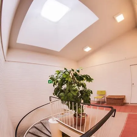 Kuukkeli Saariselkä