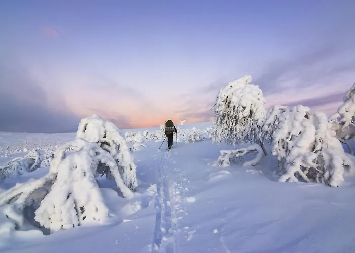 아파트 Kuukkeli 사리셀카