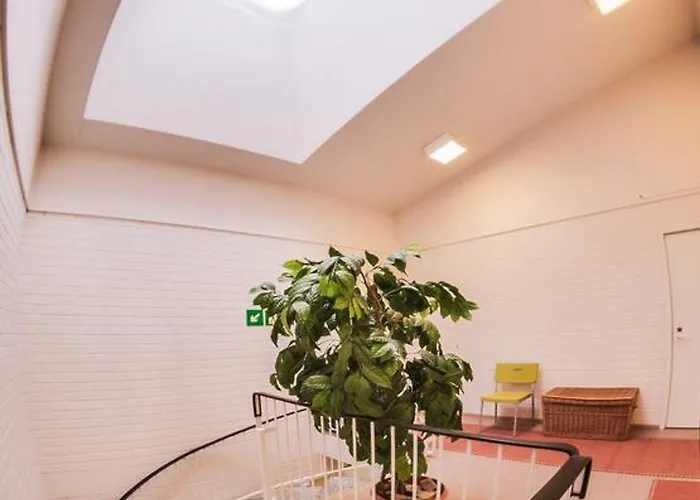 Kuukkeli 사리셀카